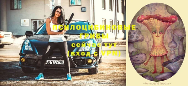 а пвп мука Михайловка